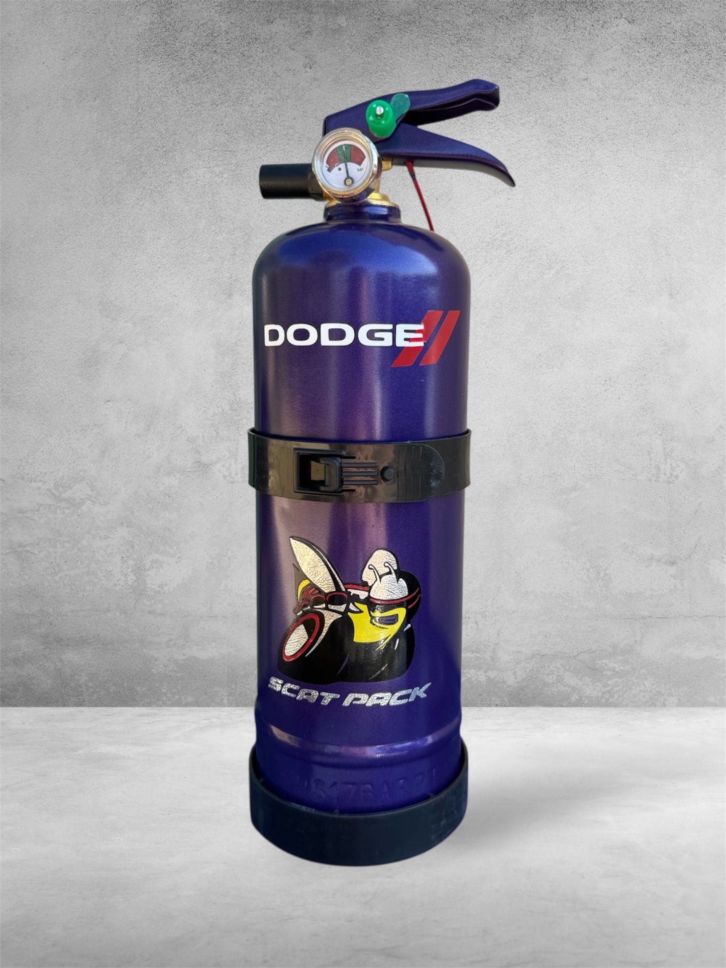 Extincteur DODGE (1kg)